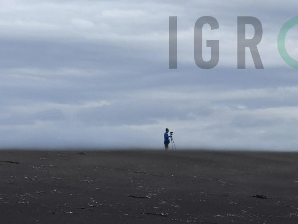 IGRO в июне 2026-го