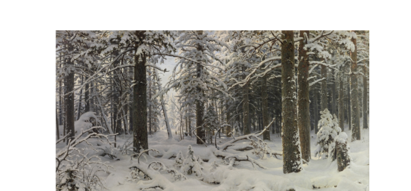 IGRO в декабре 2025 года