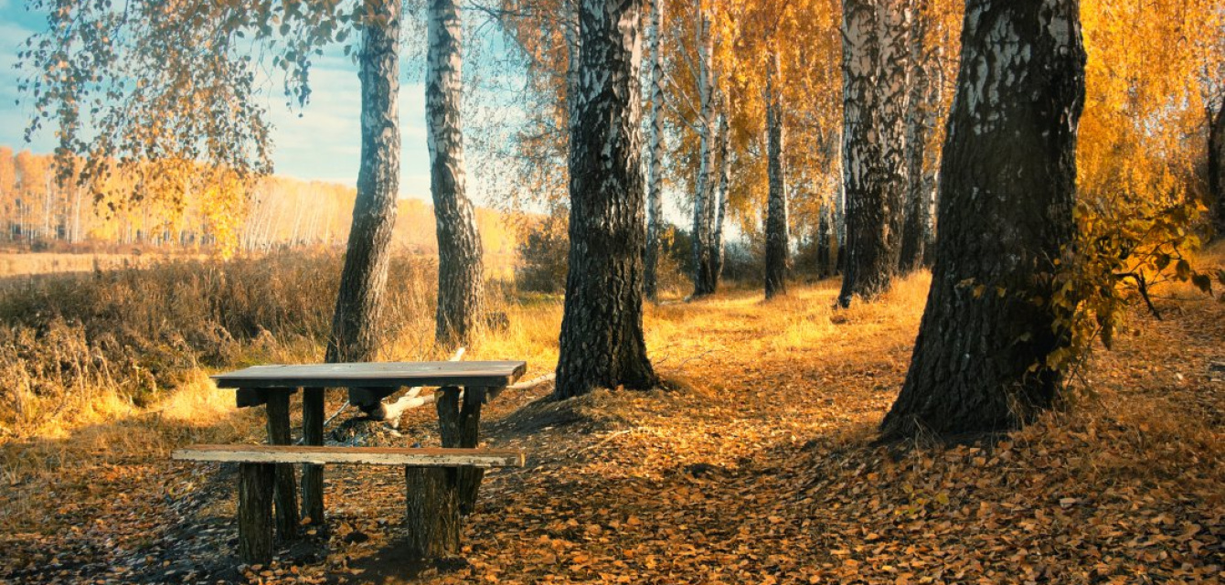 Игро в октябре 2025