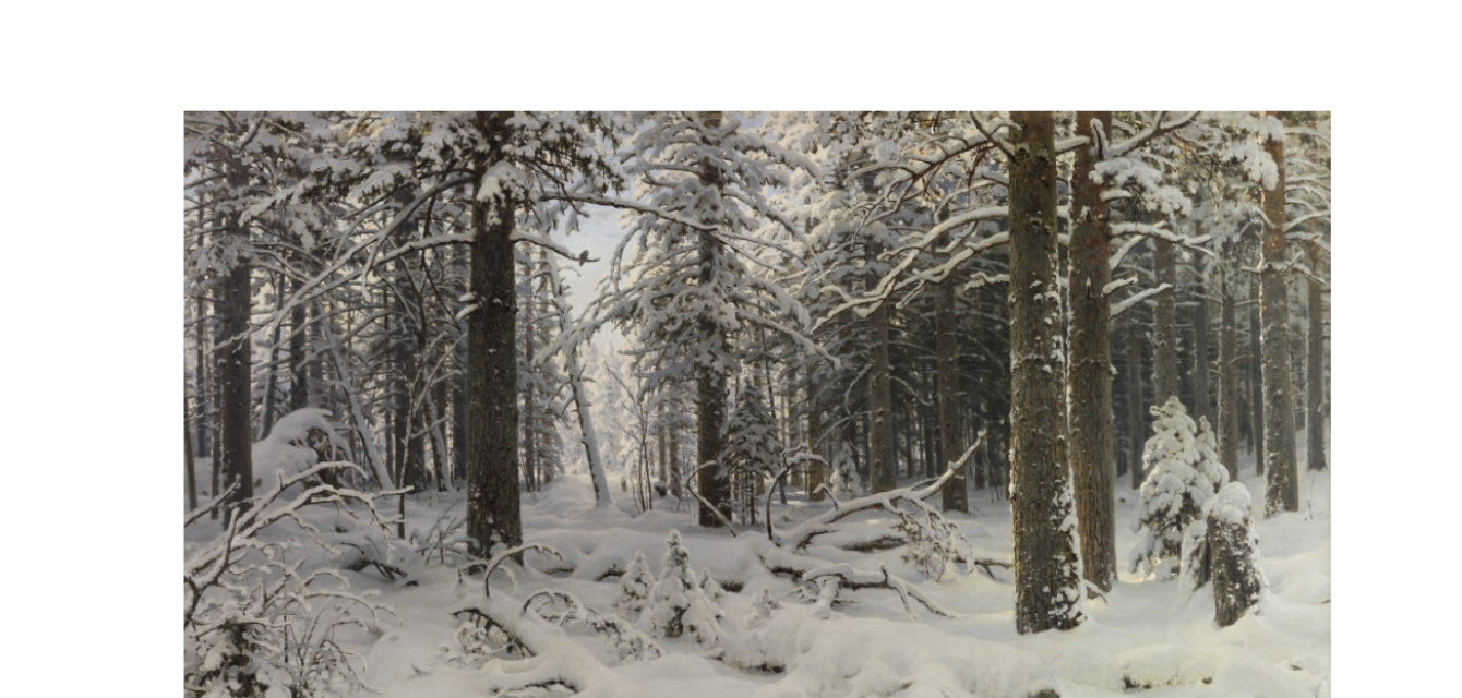 IGRO в декабре 2025 года