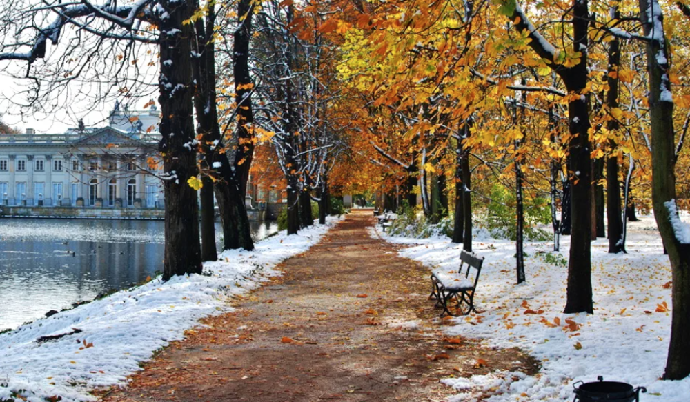 ИГРО в ноябре 2025 